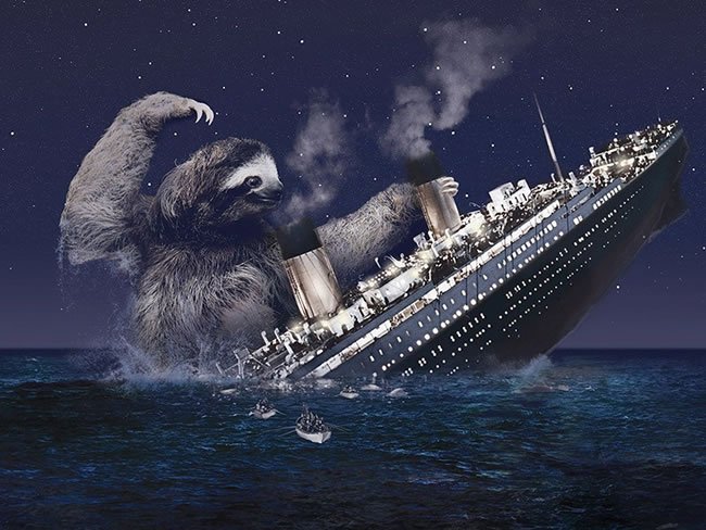 sloth-titanic.jpg