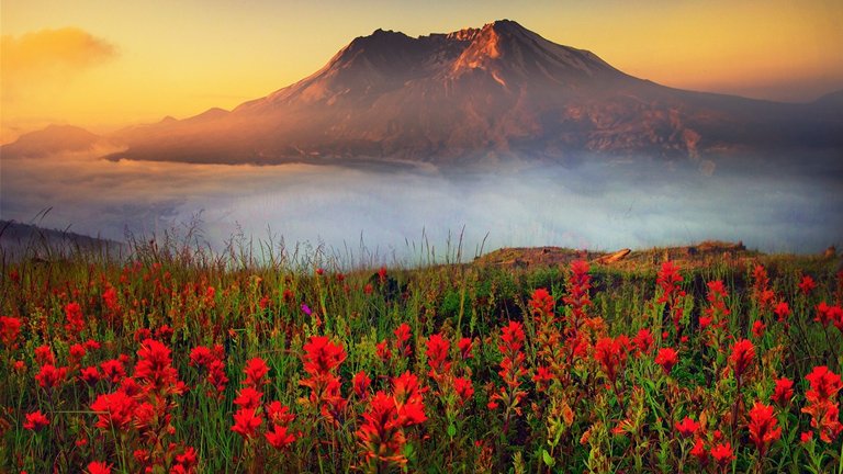 sunsets-state-fog-helens-beautiful-red-green-volcano-flowers-sunset-mount-spring-mountain-washington-moonrise-wallpaper-1920x1080.jpg