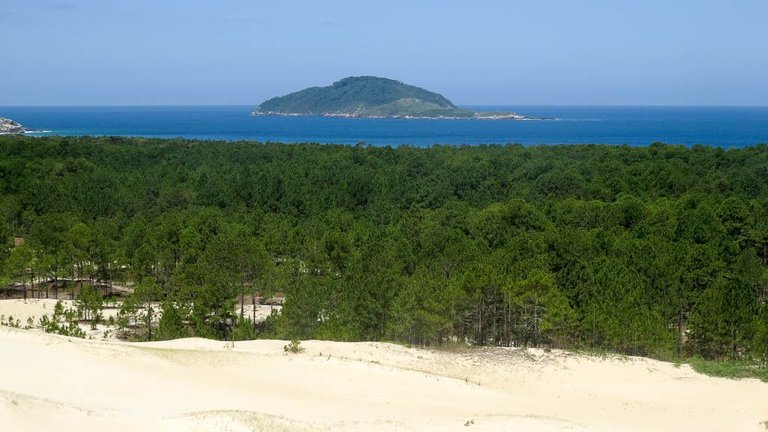 Floripa-5.jpg