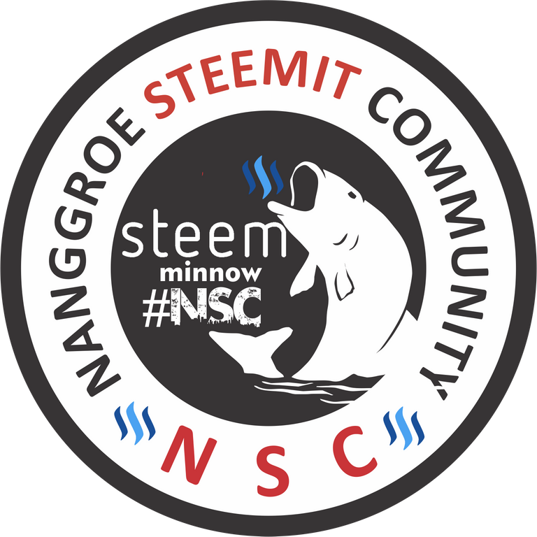 STEEM NSC.png