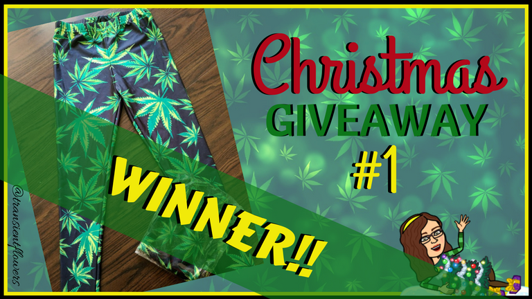 Christmas giveaway #1 winner.png