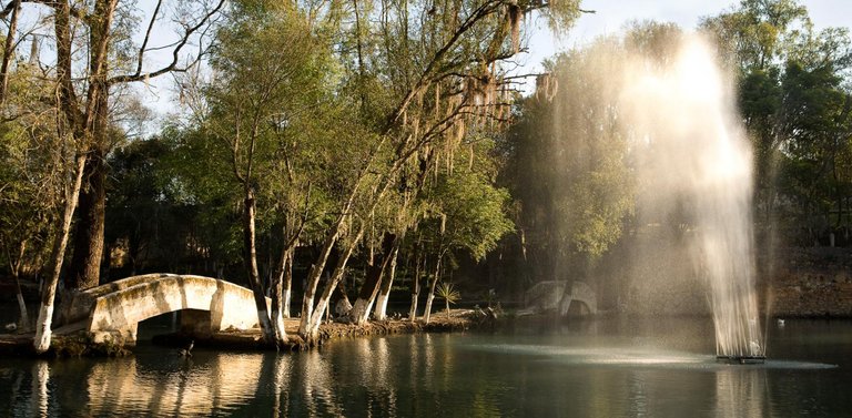 actividades-principales_hidalgo_huasca-de-ocampo_llenate-de-naturaleza-en-huasca-de-ocampo_05.jpg