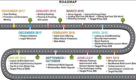 ricona roadmap 2.png