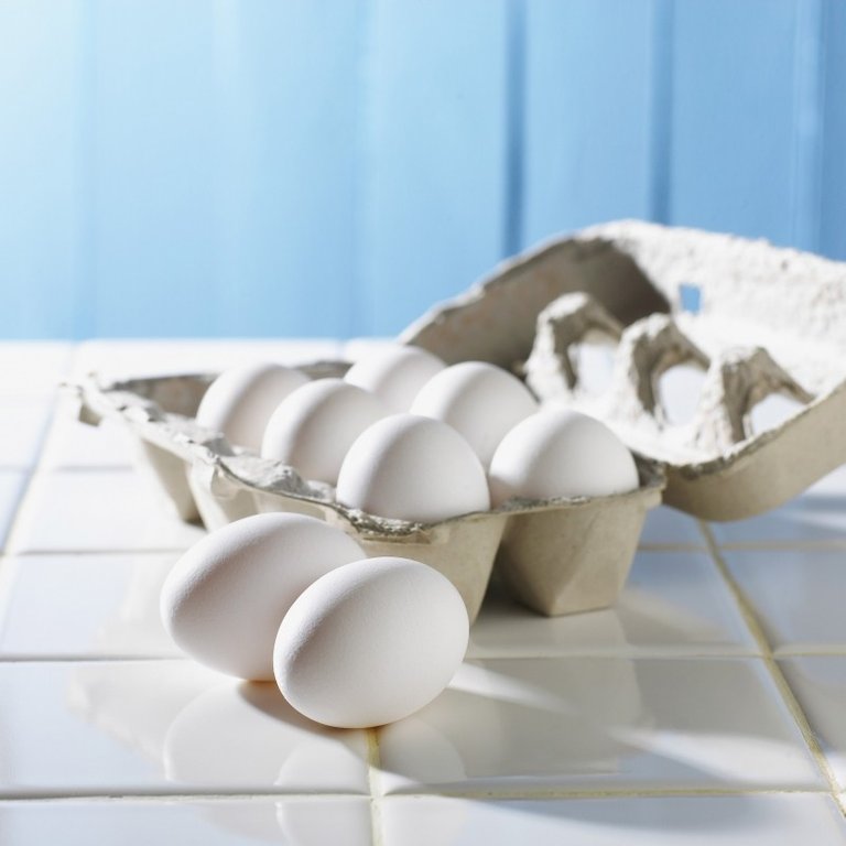 eggs-egg-food-dairy-morning-breakfast-organic.jpg