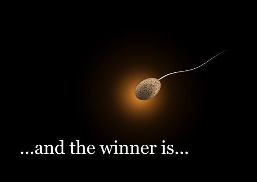 Winner-Sperm-Sperium-First-Competition-Dark-Cum-319806.jpg