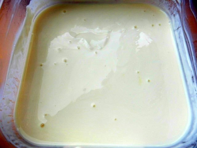 yogourt (Small).jpg