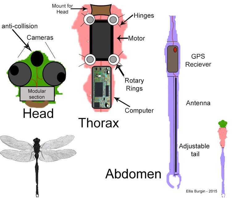 Insidethedragonfly.jpg