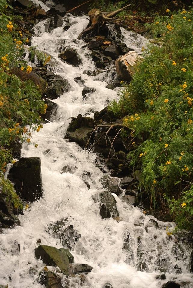 deadwood waterfall.jpg