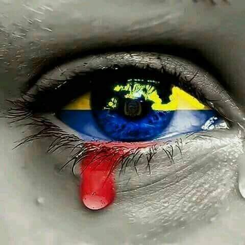 lagrimas de venezuela.jpg