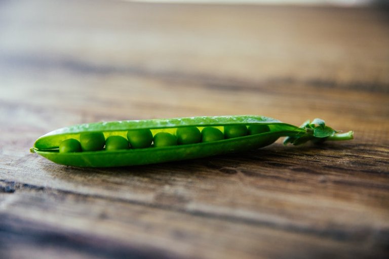 bean.jpg