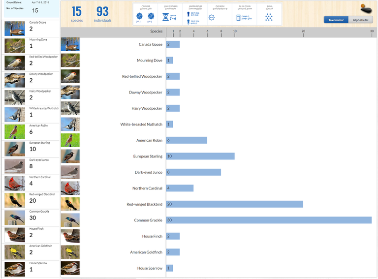 project feederwatch counts.png