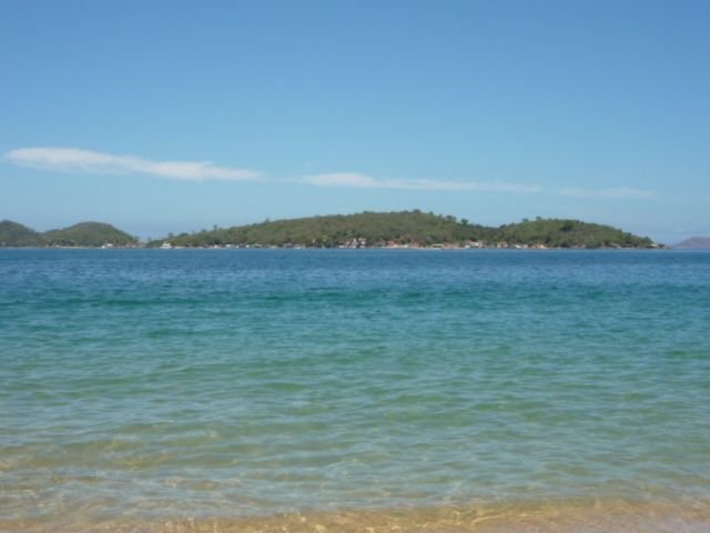 VACA_2011 219.jpg