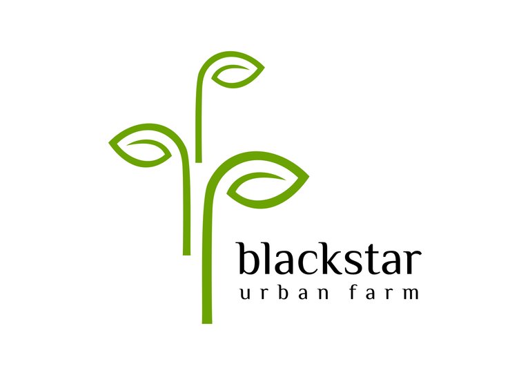 blackstar urban farm.jpg