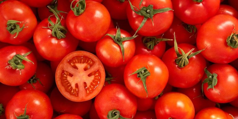 e18d41e1-12.-tomato.jpg
