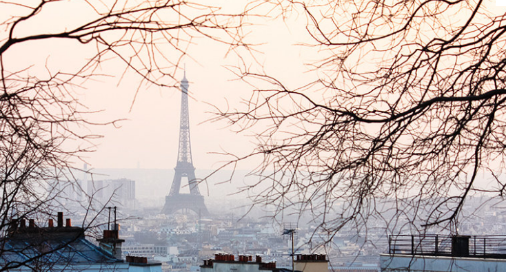 tower from montmartre.PNG