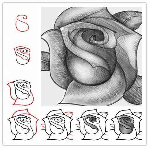 e0d257cb1d5bda3036841dd8ce6b67de--rose-drawings-art-drawings.jpg