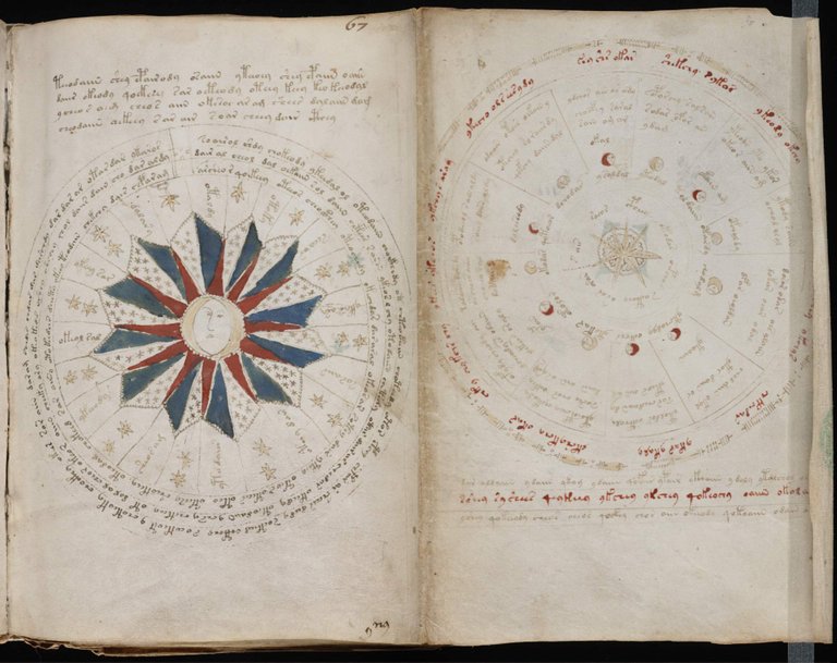 voynich-manuscript (1).jpg