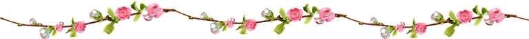 flores_png_by_parkjirimtutos-d73phhd.png