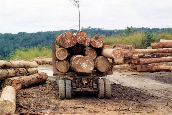 Log-truck-Central-African-Republic-1.jpg