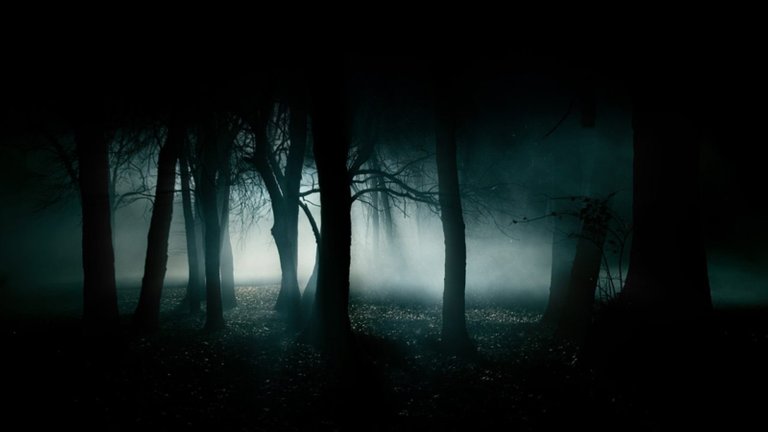 bosque-de-noche.jpg