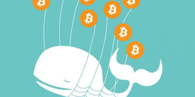 bitcoin-whale-900x450.jpeg