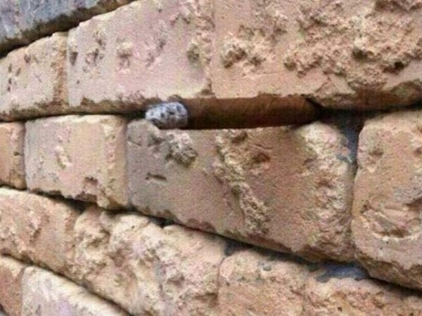 brick-wall-illusion-without-answer.jpg