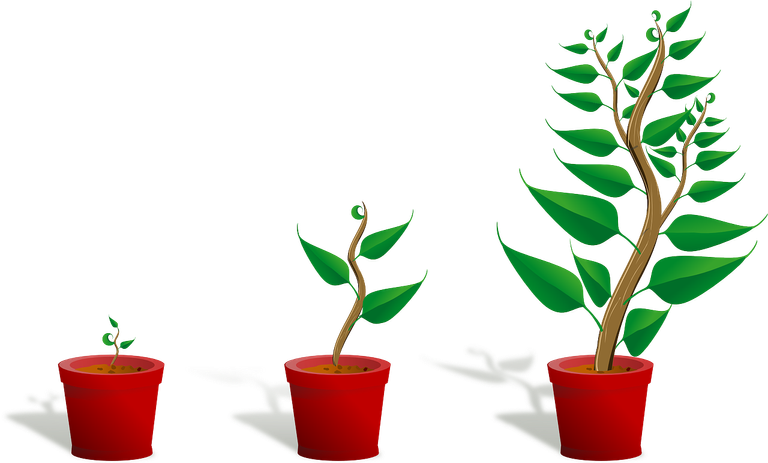 sapling-154734_1280.png