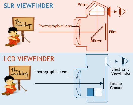 DSLR-and-Digital-Camera-Difference-Viewfinder.jpg