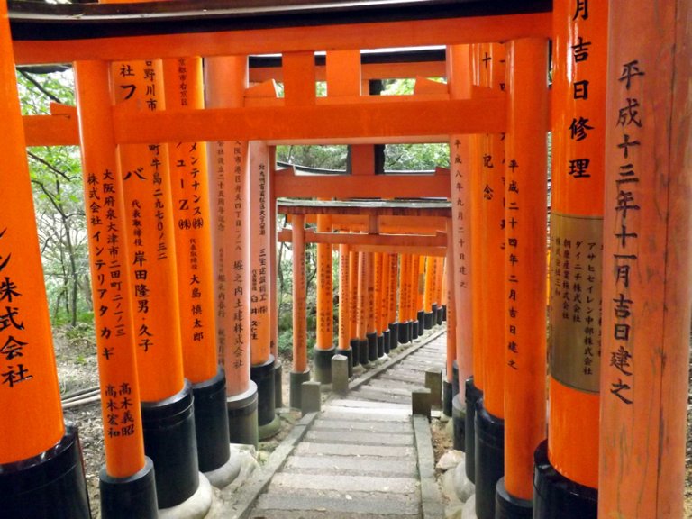 torii.jpg