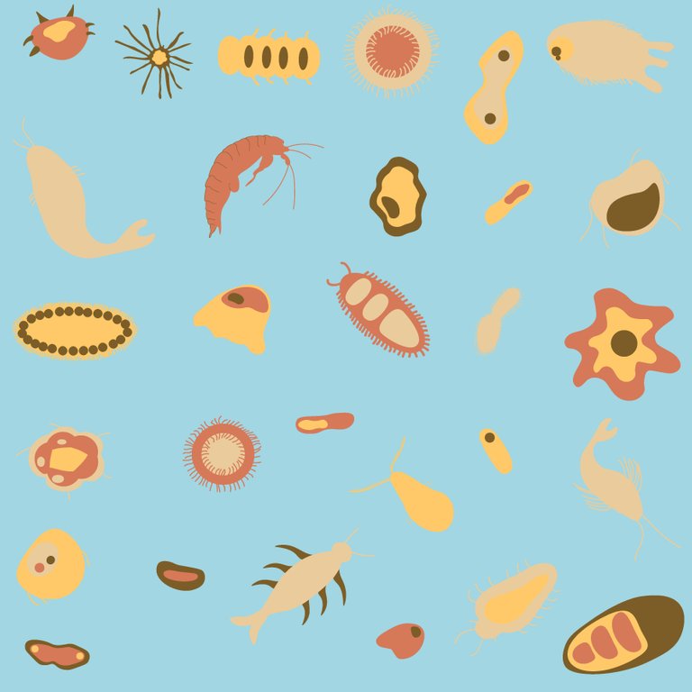 plankton pattern color.jpg
