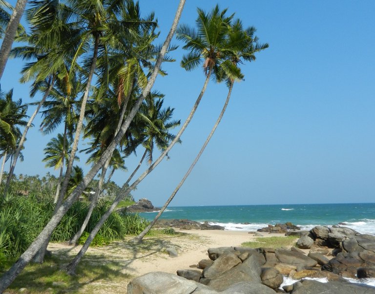 Sri Lanka Beach-compressor.jpg