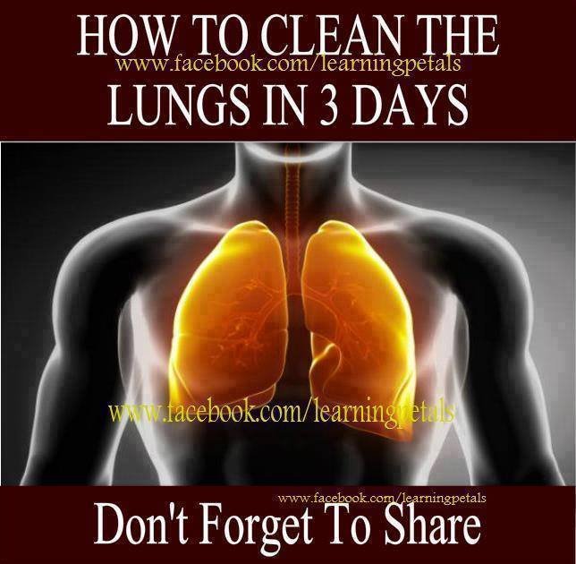 lungs.jpg