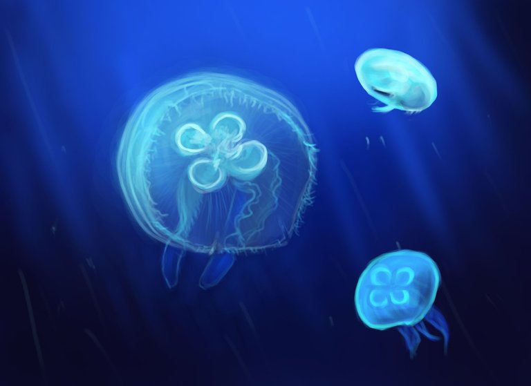 jellyfish.jpg