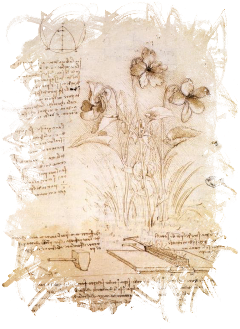 leonardo-da-vinci-1763264_1280.png