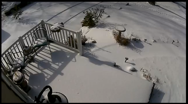 front yard - security camera.png