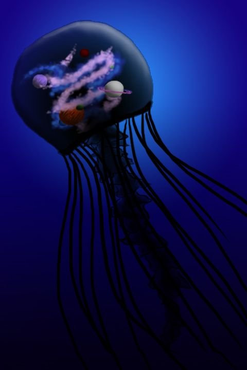 jellyfish.jpg