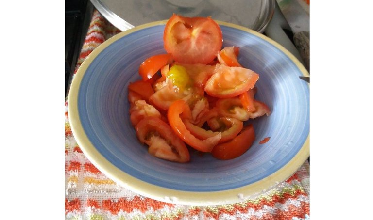 tomates cortados com margem branca.jpg