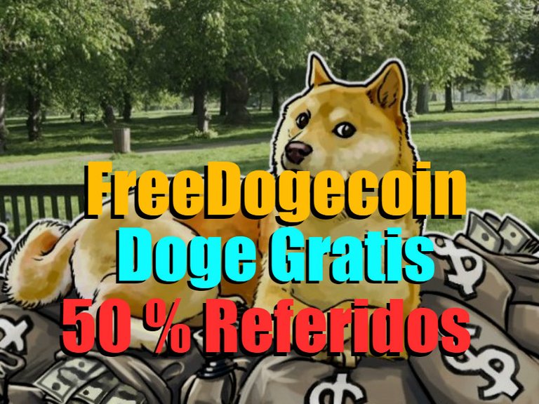 freedogecoin portada blog.jpg