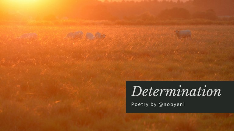 Determination Poetry by @nobyeni.jpg