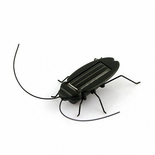 4-funny-cockroach-gadget.jpg