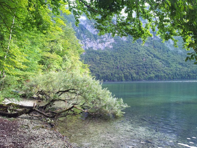 Slovenie - Lac de Boheinj - Aout 2017 (64).jpg