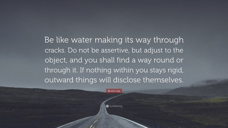 Bruce-Lee-Quote-Be-like-water-making-its-way-through-cracks-Do-not (1).jpg