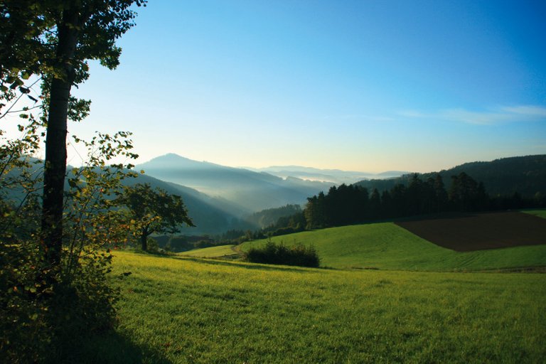 muehlviertler_kernland-hirschbach-landschaft1.jpg