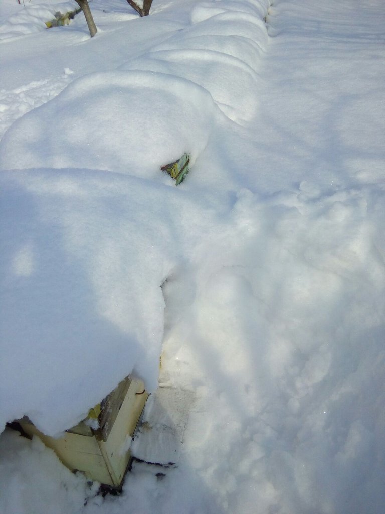 IMG-20180227-WA0042.jpg