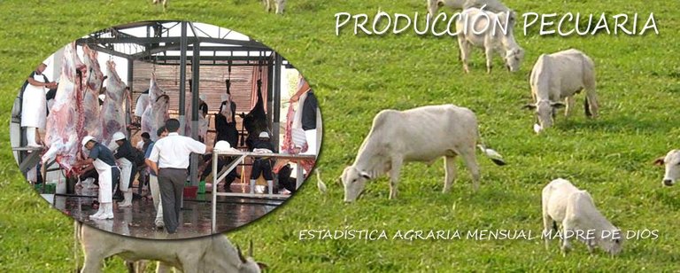 PRODUCCION PECUARIA.jpg