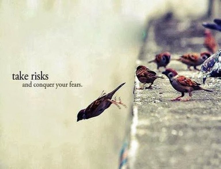 take-risks-lzk693mtkorullcv4hf45stpjucycw0sq5wbutgjf2.jpg