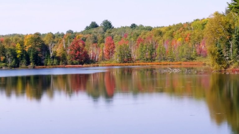 Serenity Valley Farms Fall Colors 3.jpg