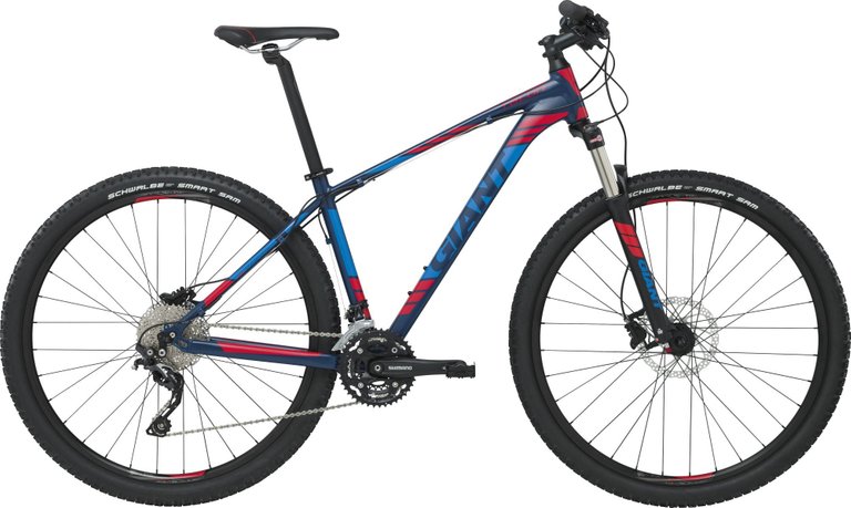 Talon 29er_2_LTD_2000.jpg