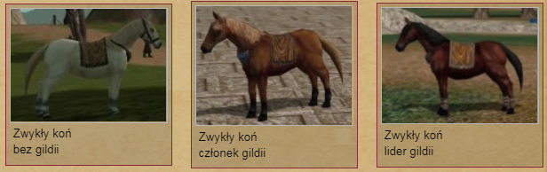 zwykły kon.png