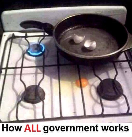 how all government works.jpg